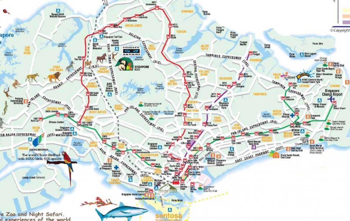 Пътна карта на Сингапур